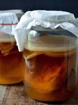 How to Brew Kombucha Tea